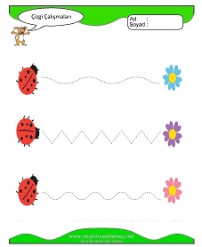 Çizgi Çalışma Sayfaları